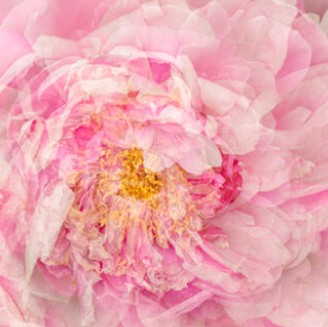 Tues 8 April – Annual General Meeting and Presentation on Photography as an Art Form